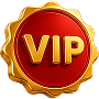 /custom/footer/vip.png